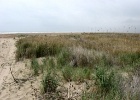 Parc Natural del Delta de l'Ebre   Elly van Zonneveld